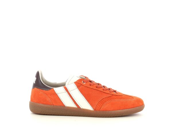 PULSE TOFFEE TANGERINE