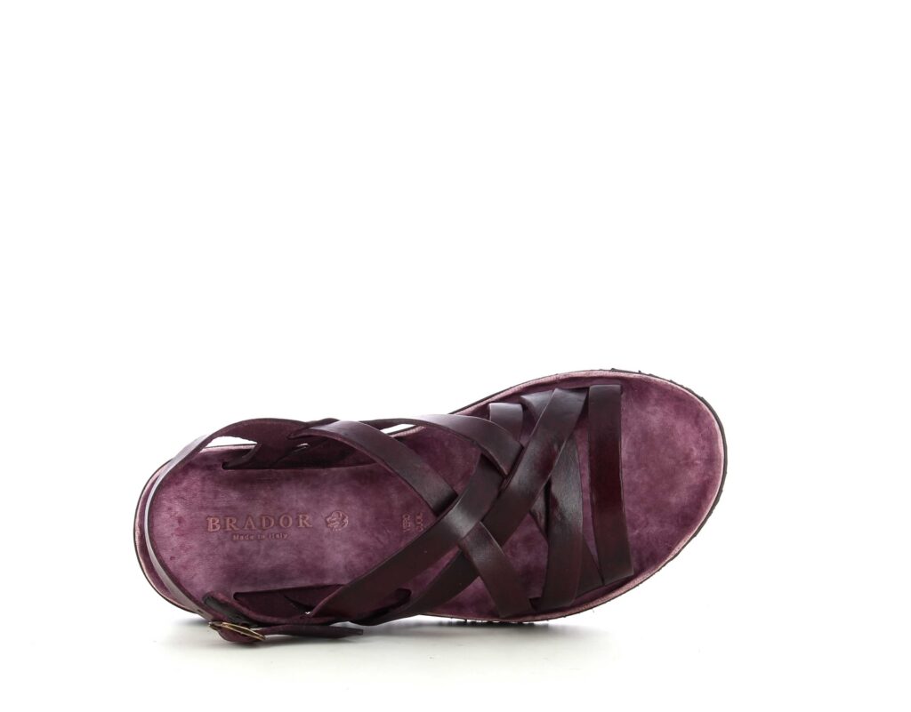 COLOMBIO 506 VINACCIA